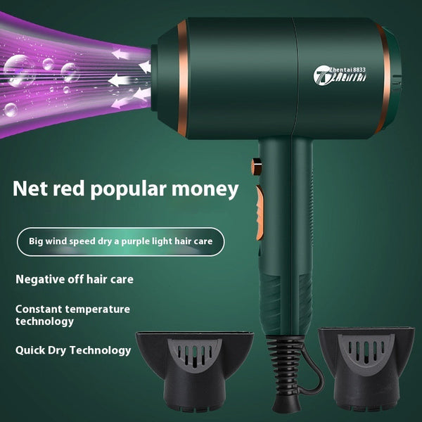 Electric Hair Dryer Anion Hair Care Hair Dryer Household